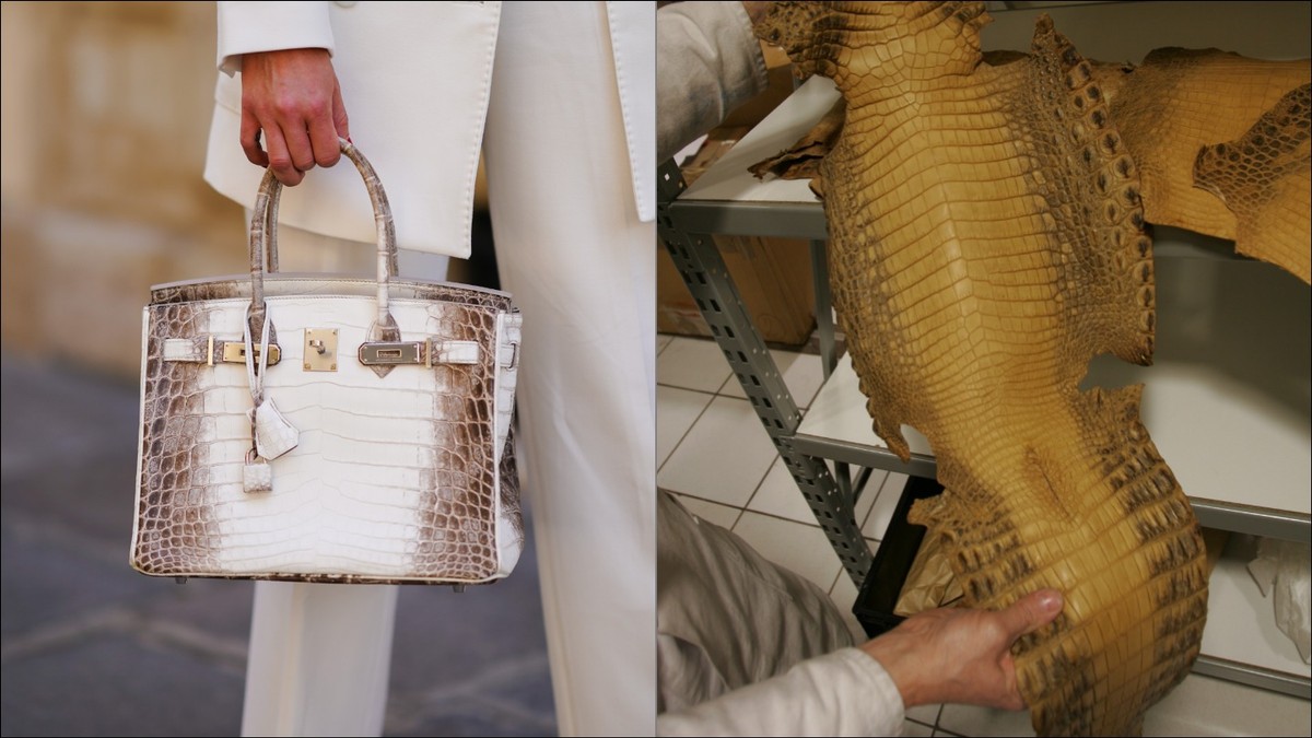 Louis Vuitton and Hermes turn our saltwater crocodiles into high fashion