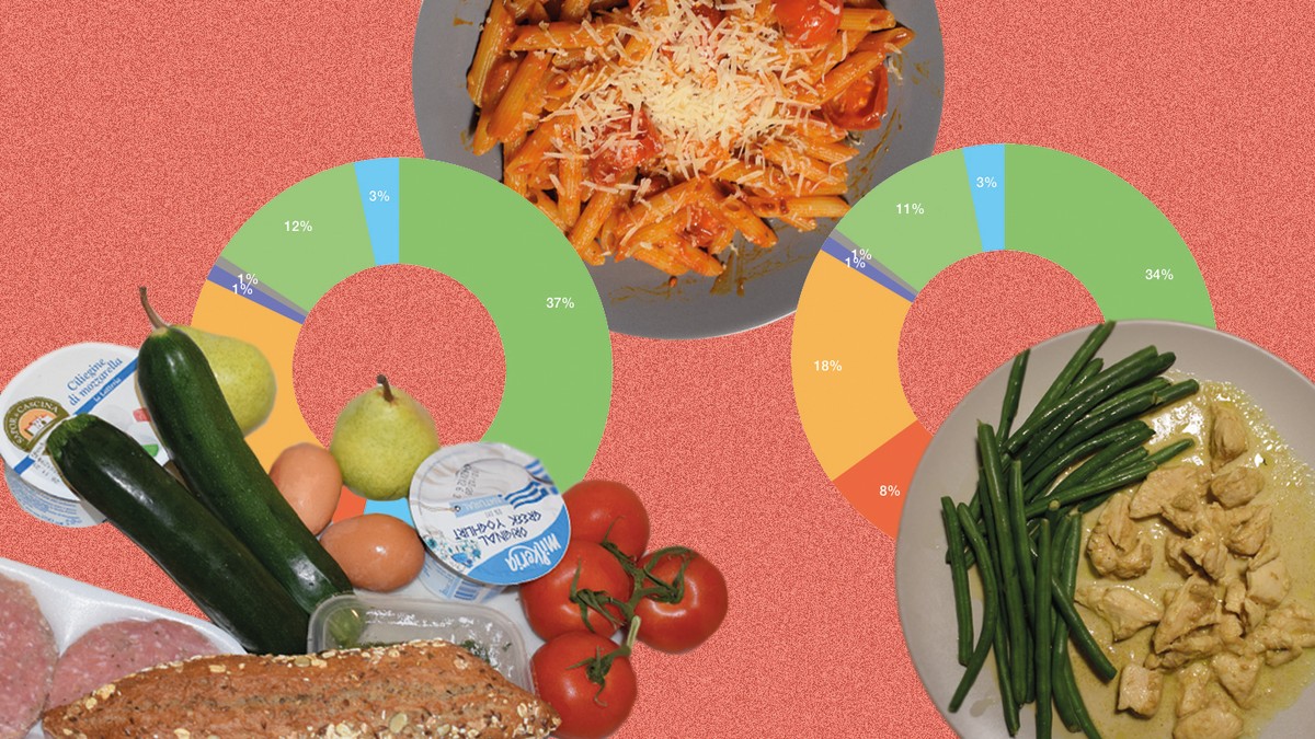 how-to-plan-your-meals-cut-food-waste-and-save-money