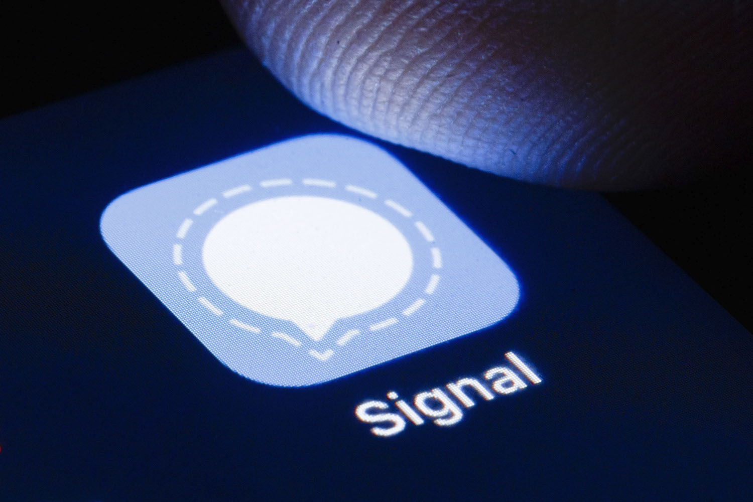 thousands users joined signal app