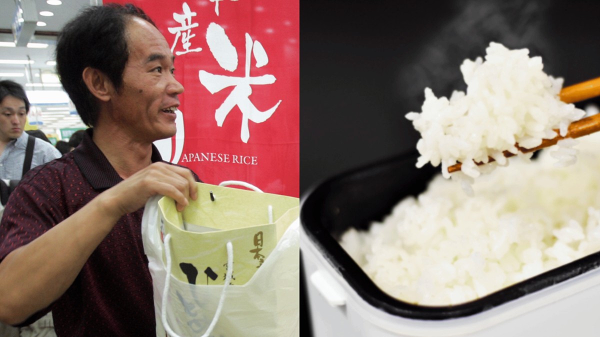 Why SingleServing Rice Cookers Are Trending in Japan