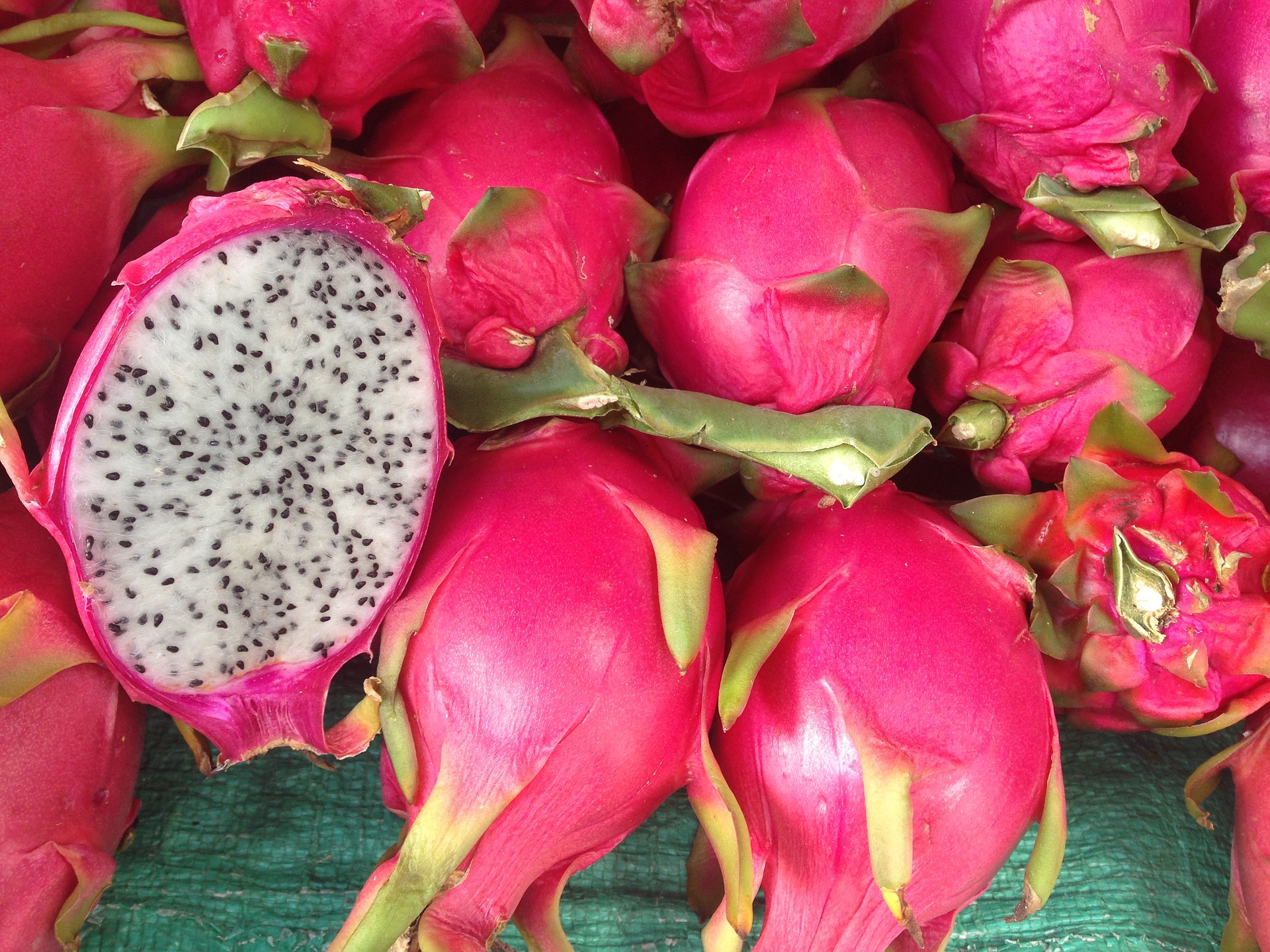 Какой любимый фрукт в год дракона фото An Indian State is Renaming the Dragon Fruit Because it Makes One 'Think of Chin