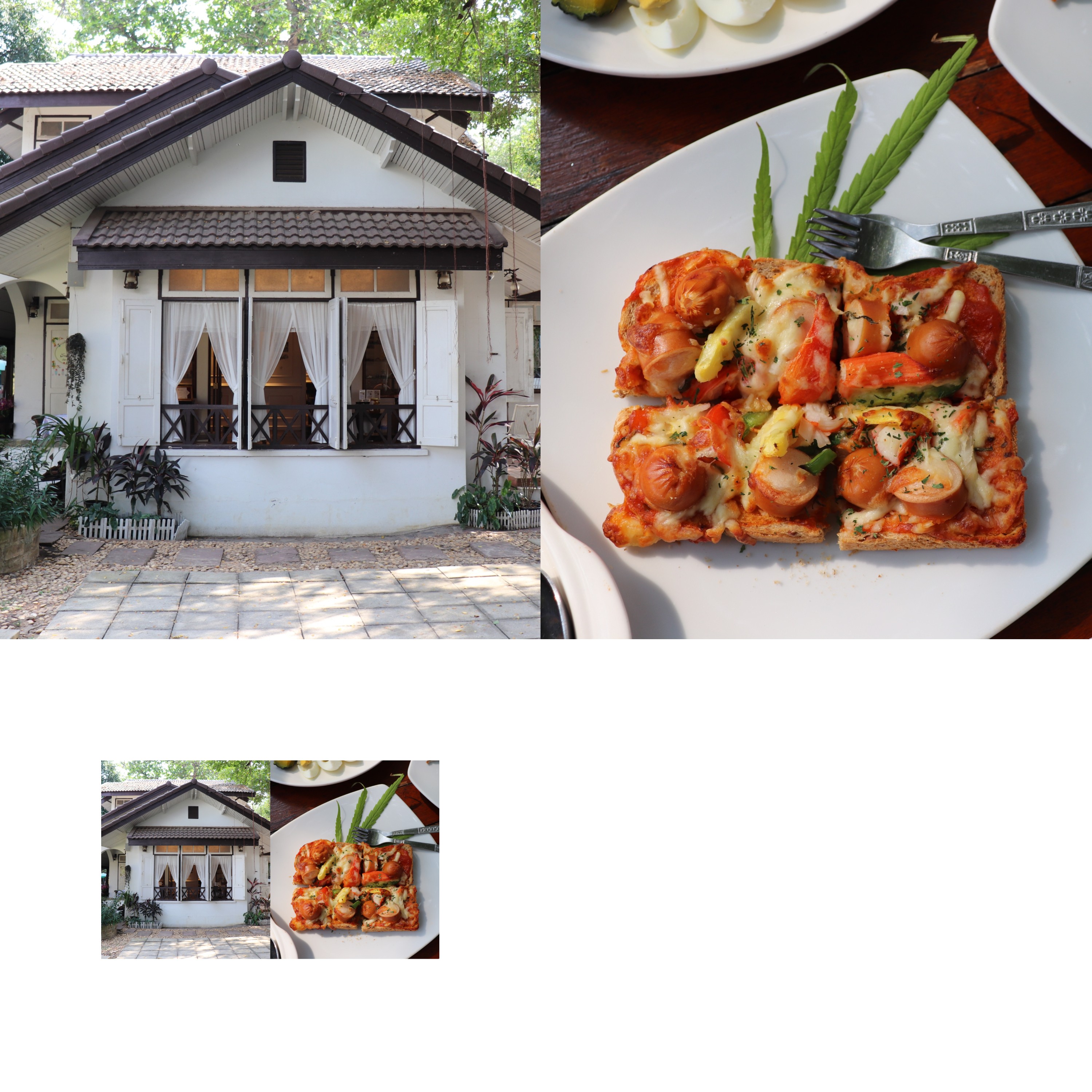 직접 들여다본 태국 최초의 합법적 대마 식당