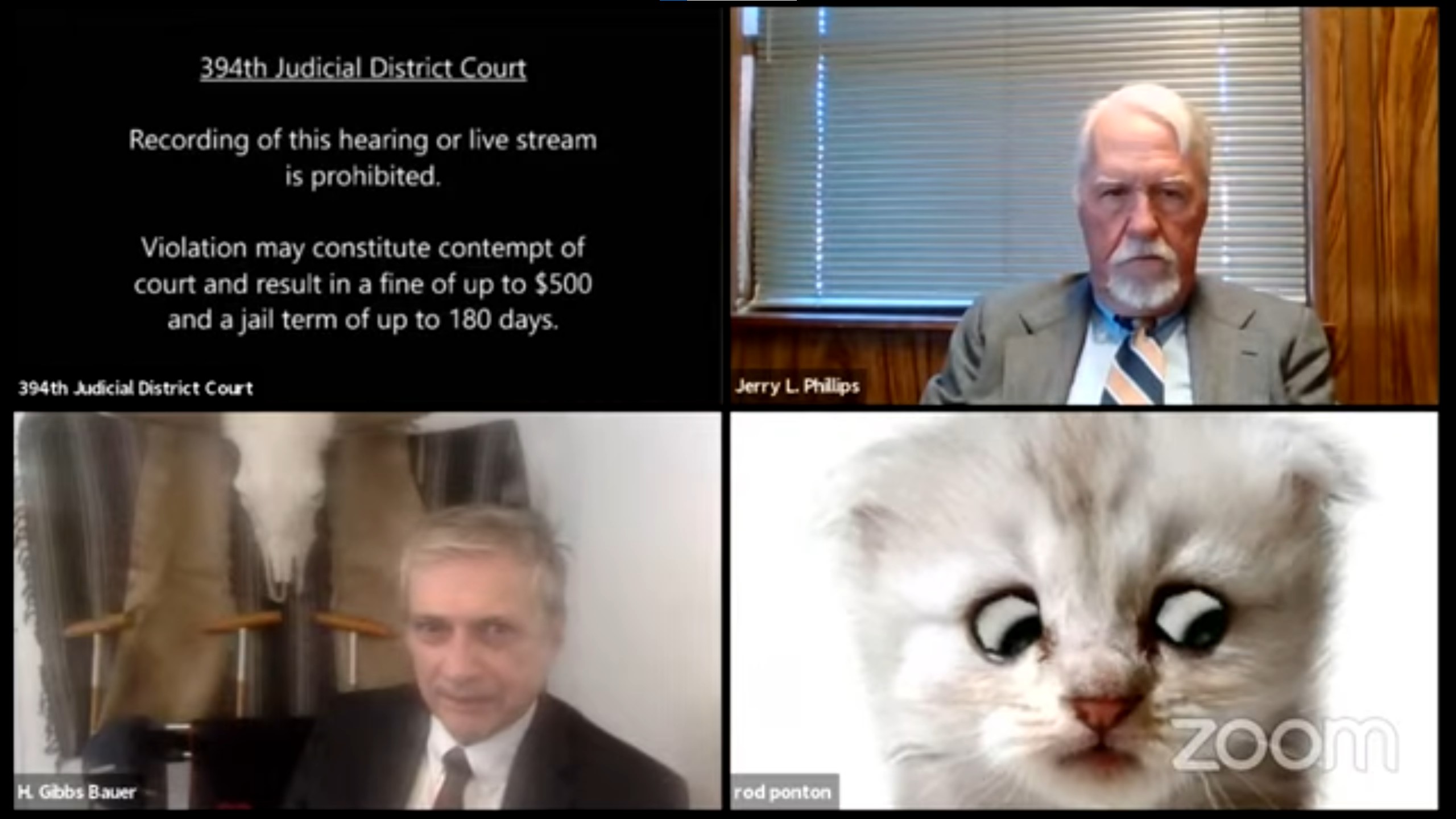 I Am Not A Cat Lawyer Using Zoom Cat Filter Tells Judge