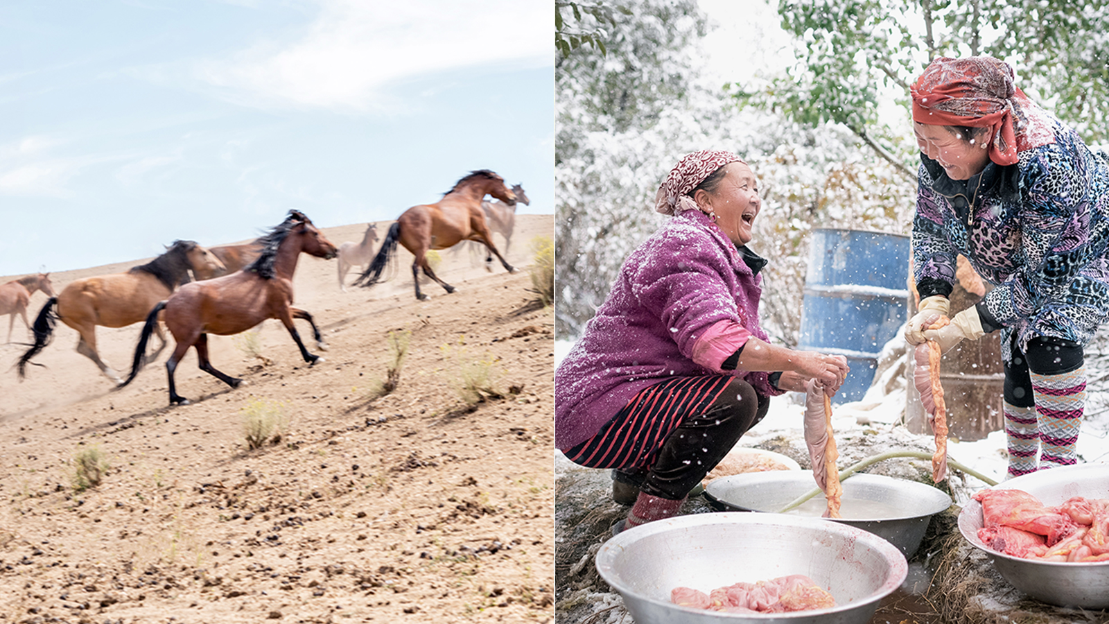 Aanleg Geelachtig Noodlottig Foto's van de wereldwijde tradities en taboes rond paardenvlees