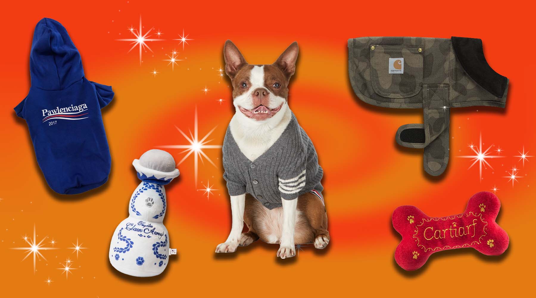 Best Dog Costumes for Halloween! - Lucky Dogs Cool Cats Pet Sitting