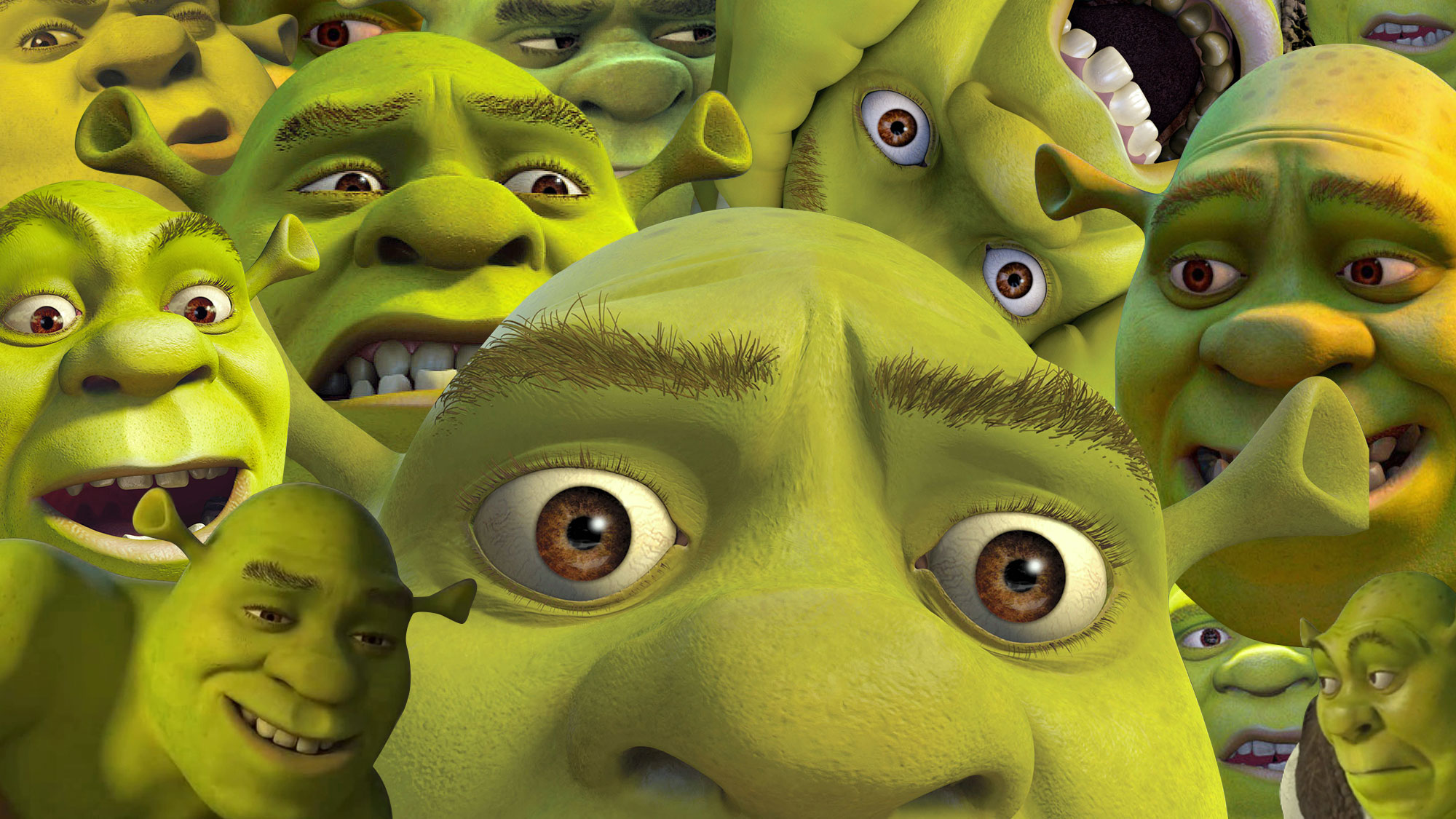 Shrek Wallpaper (not mine)  Shrek, Shrek funny, Cartoon wallpaper