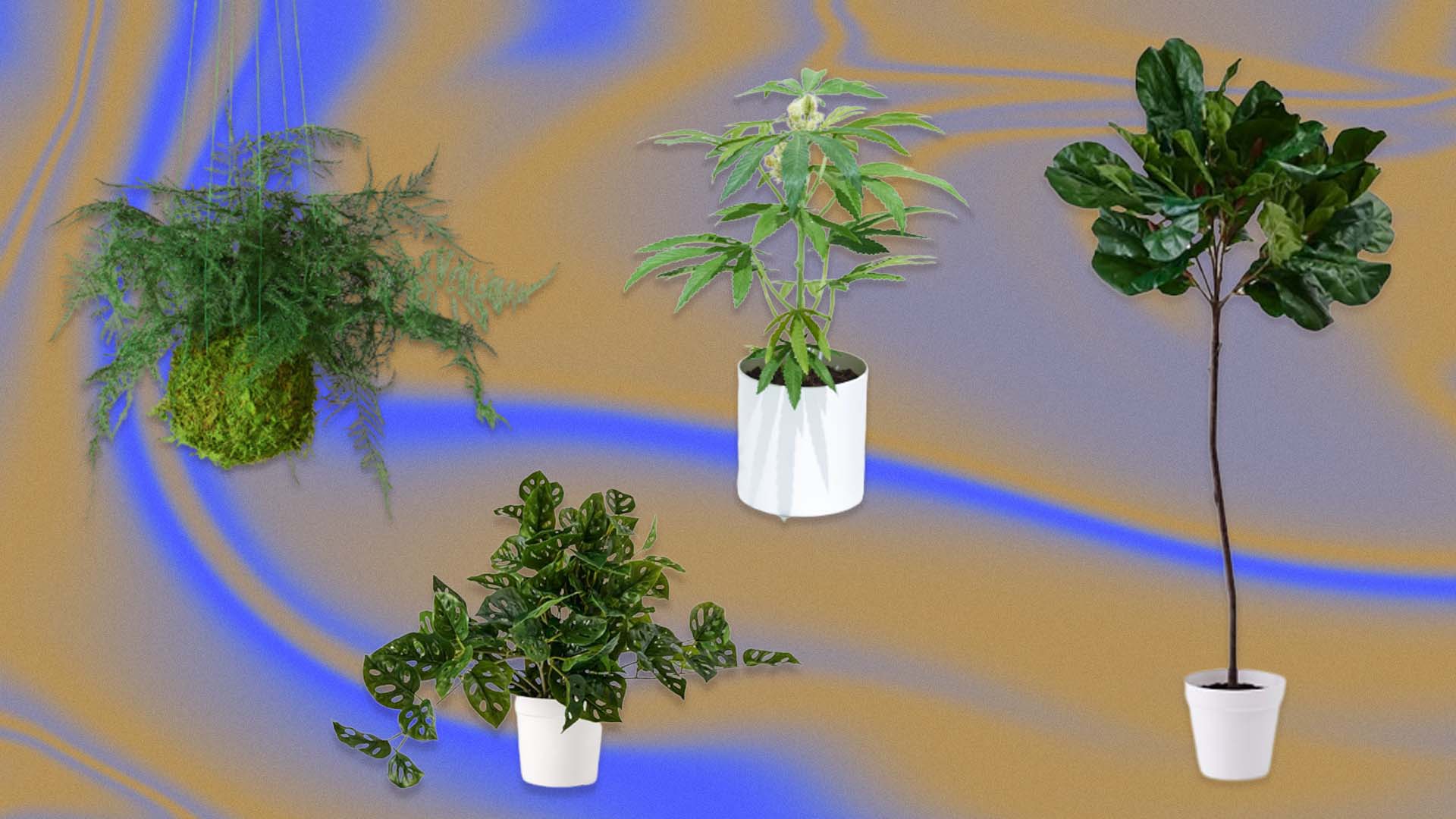 https://video-images.vice.com/articles/6099b0fc837ff800945467ee/lede/1682372353213-fauxplants.jpeg