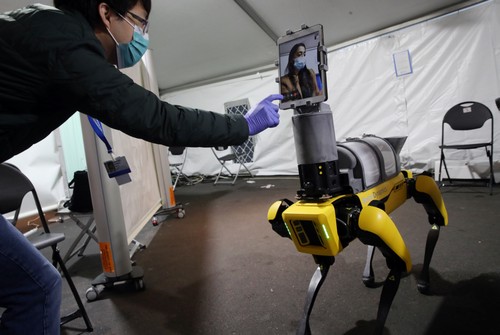 Die Polizei von Honolulu setzte einen Roboterhund ein, um in Lager von Obdachlosen zu patrouillieren und Körpertemperaturen zu messen
