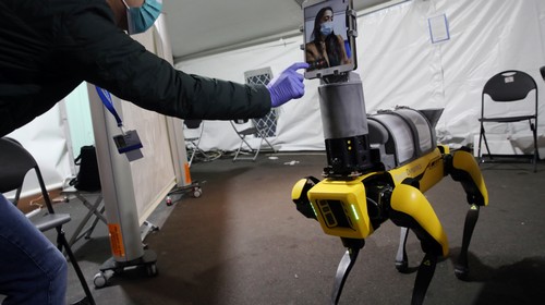 Die Polizei von Honolulu setzte einen Roboterhund ein, um in Lager von Obdachlosen zu patrouillieren und Körpertemperaturen zu messen Die Polizei von Honolulu setzte einen Roboterhund ein, um in Lager von Obdachlosen zu patrouillieren und Körpertemperaturen zu messen