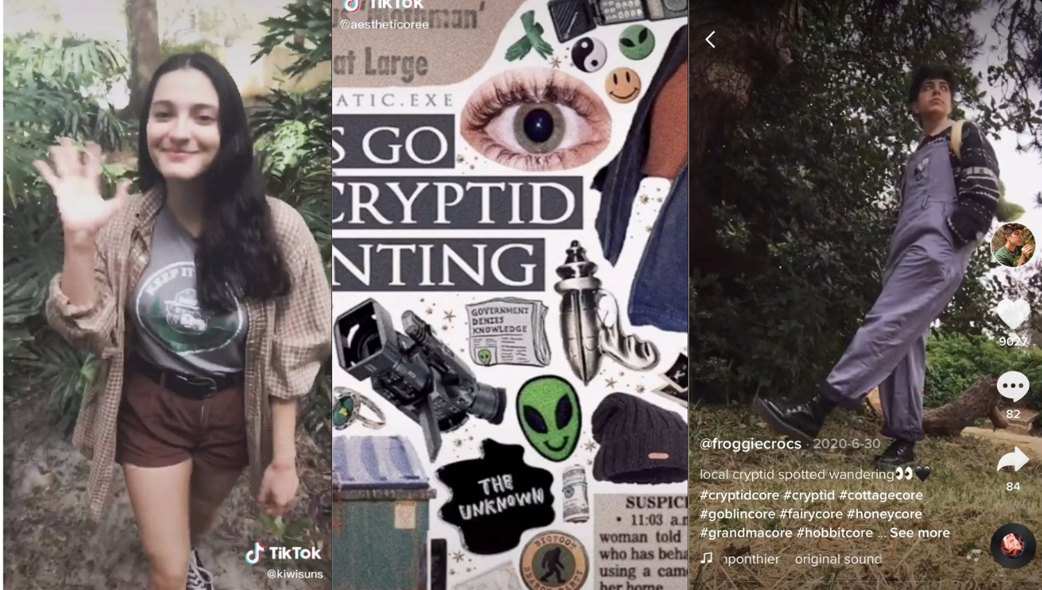Check out oicheantas Shuffles cryptidcore darkacademia aesthetic  wallpaper collageart mystery