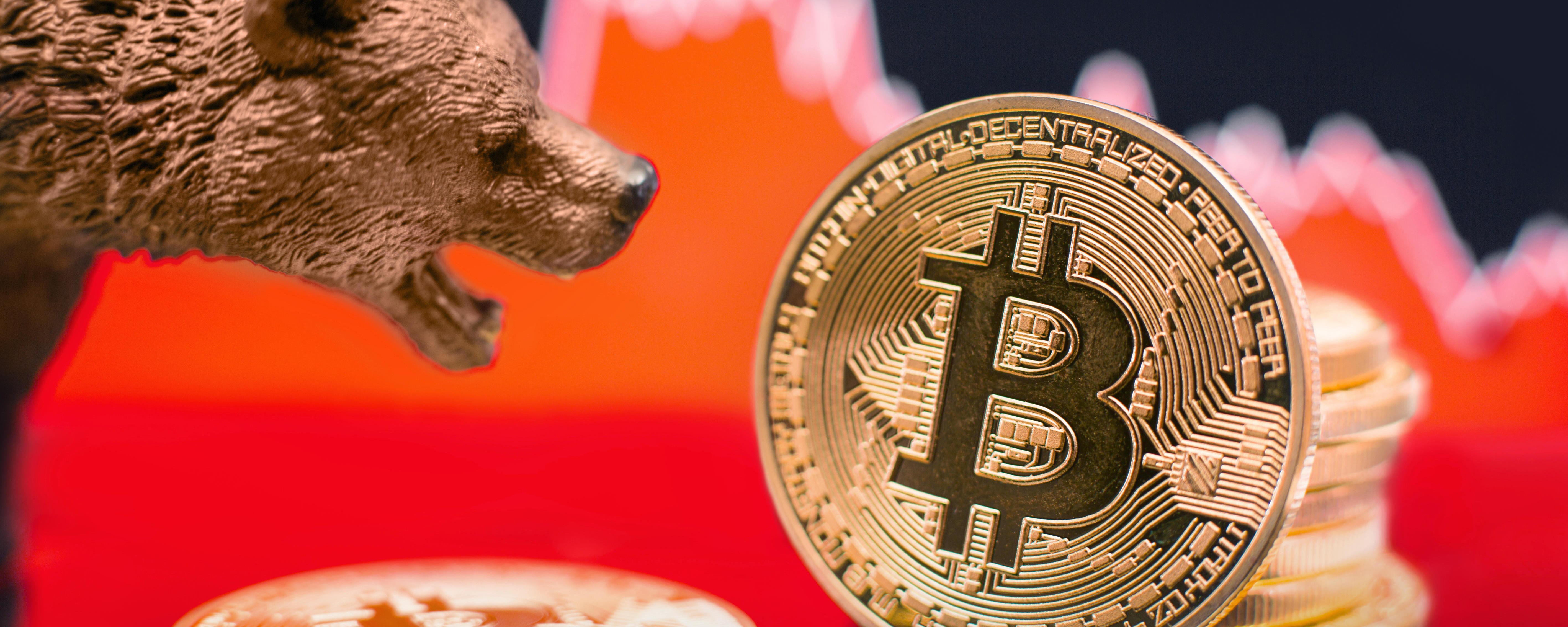 investiție în capcană pentru urs bitcoin modalități de a câștiga bani online în uae