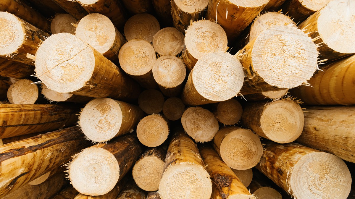 Lumber has long been the subject of debate over trade policy, ecosystem conservation, and climate change. But in a white-hot housing and remodeling/ho