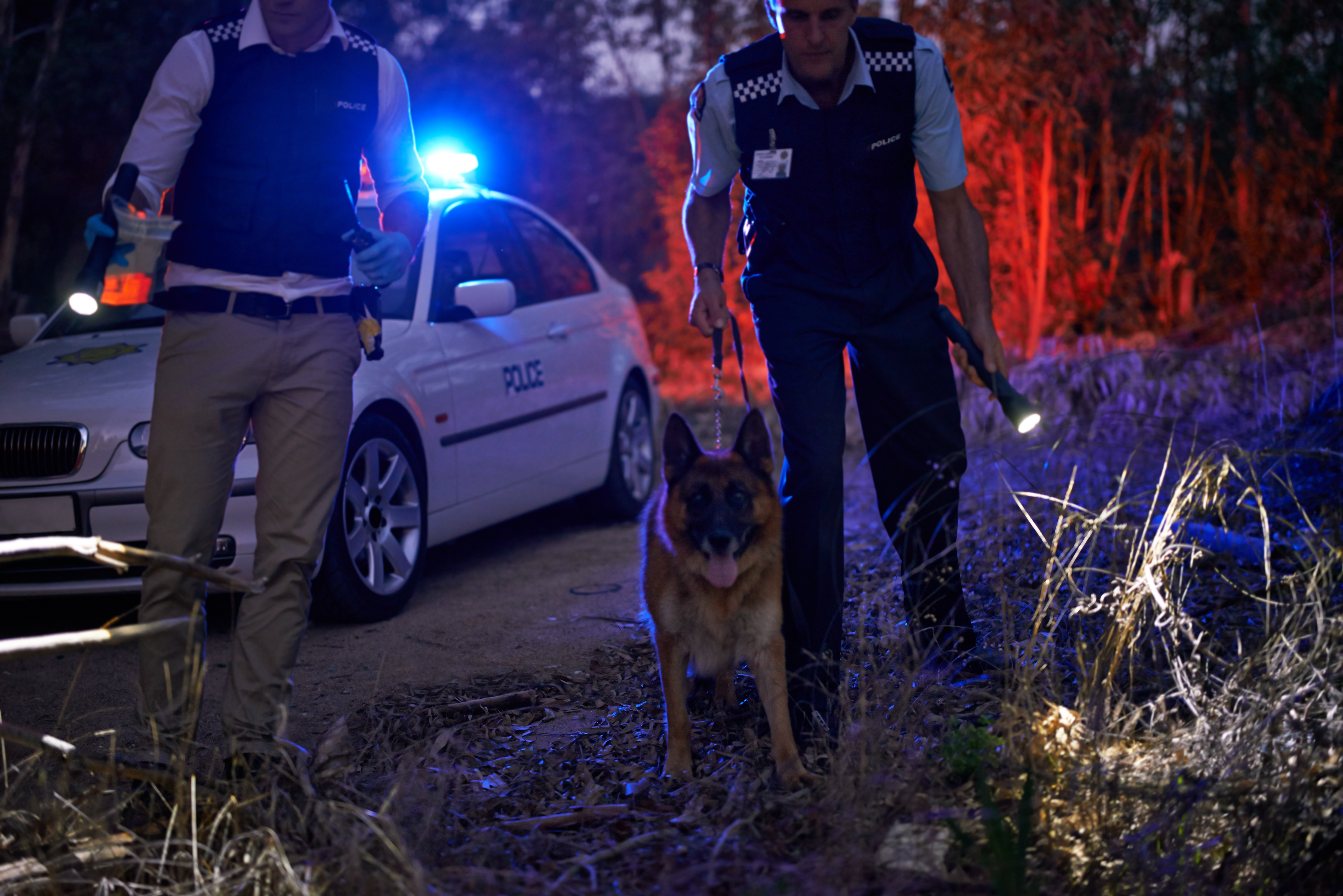 Missing Drunk Man Spent Hours Helping A Search Party Look For Himself