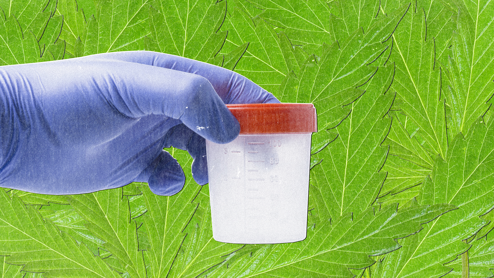 How To Pass A Weed Drug Test: Marijuana Testing Tips - VICE