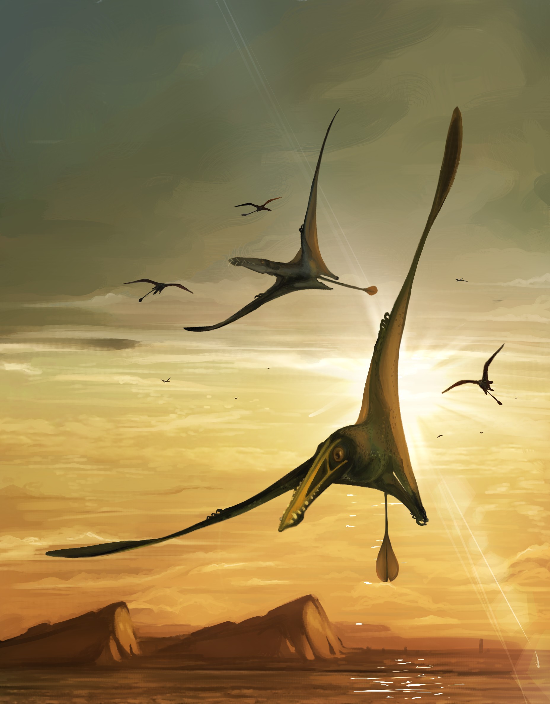 World's biggest Jurassic-era pterodactyl discovered on Isle of Skye