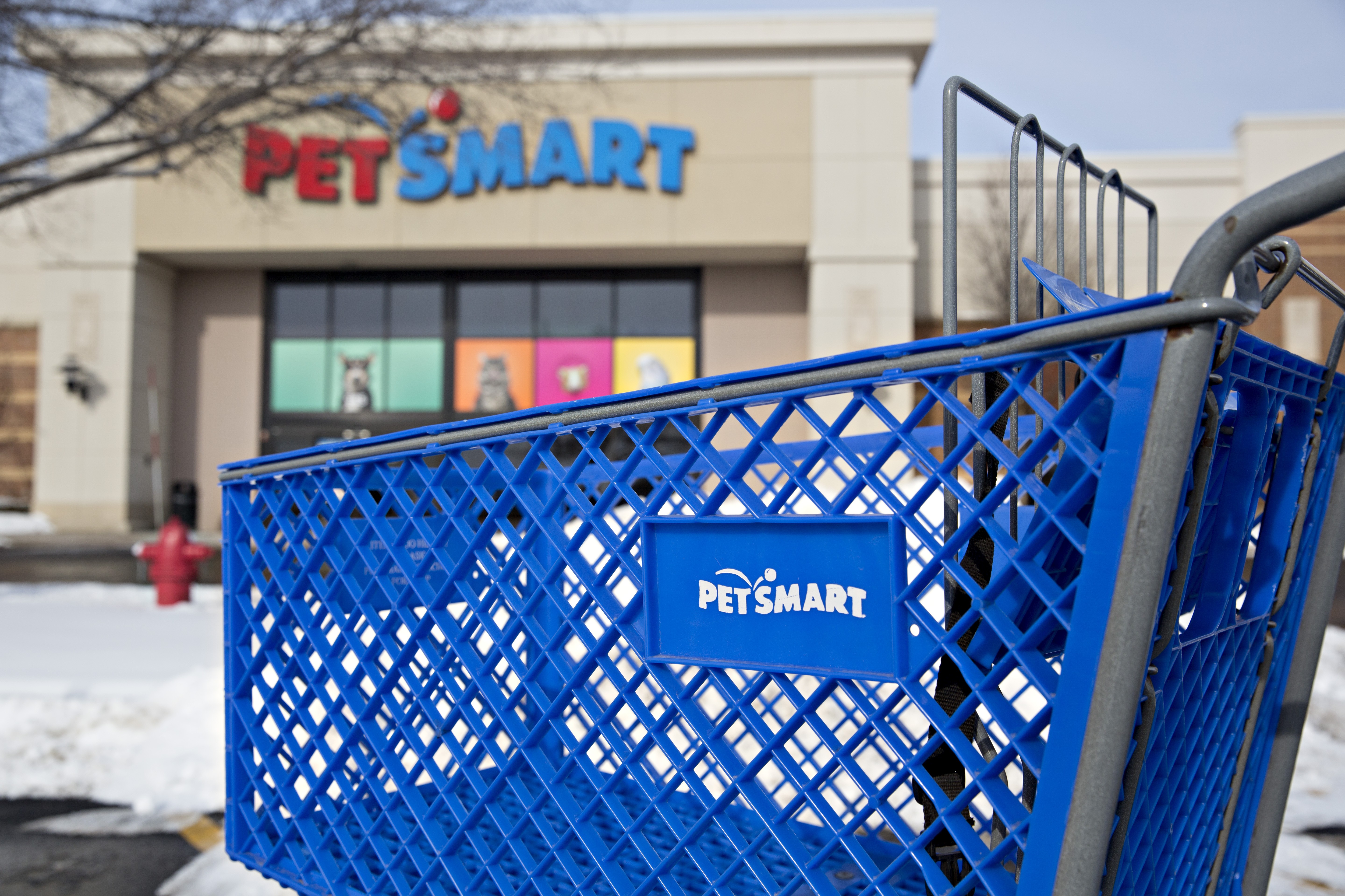 PETA: PetSmart Gives Animals 'Slow, Miserable Deaths