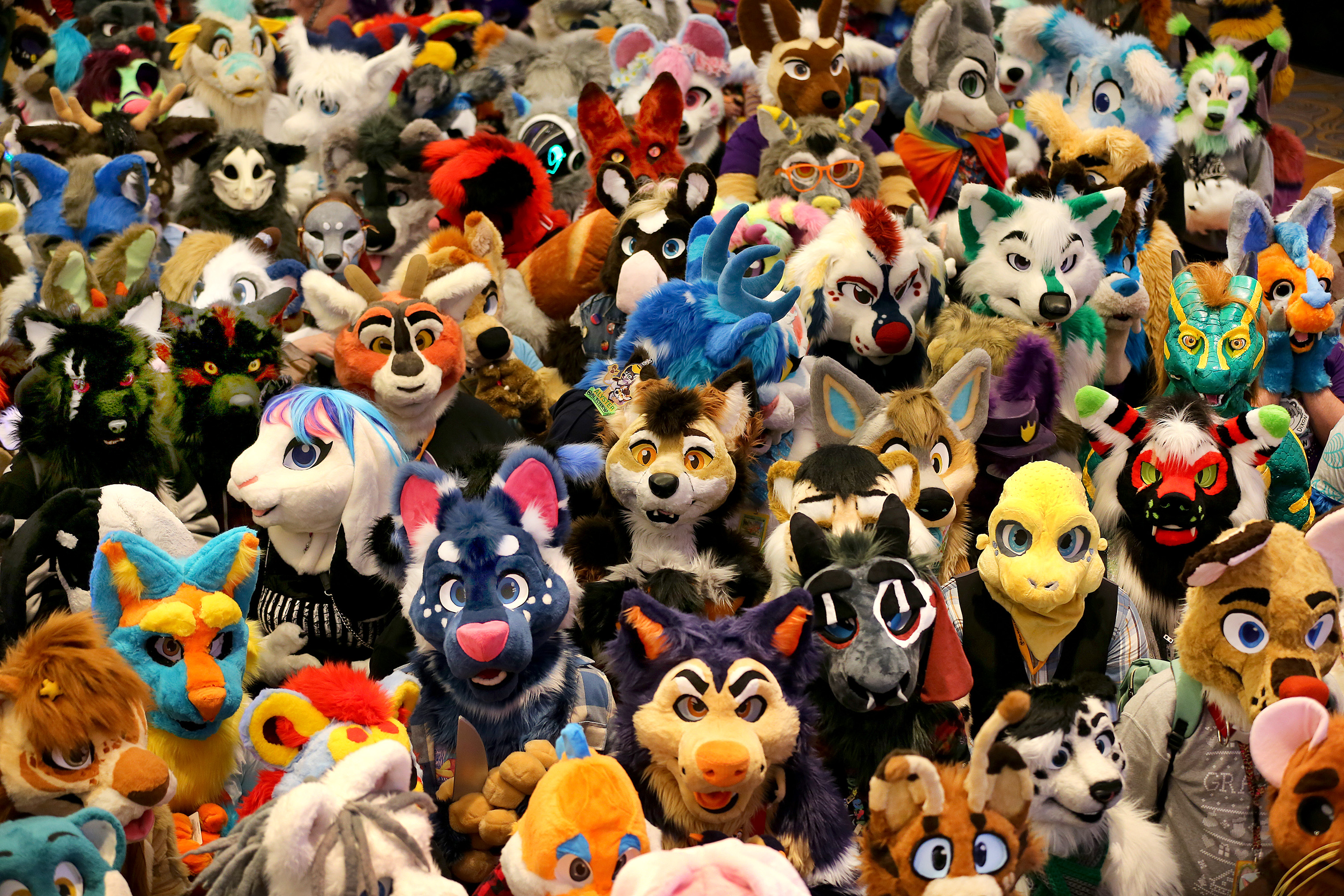 State Senator Rants About Furries Using Litter Boxes in School, Then