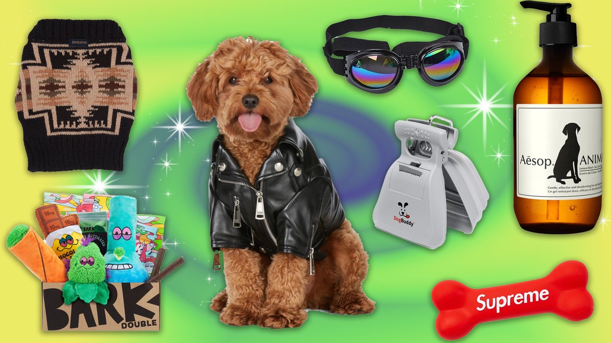 The Best Gifts for Dog Lovers (and Their Corgi 'Son')