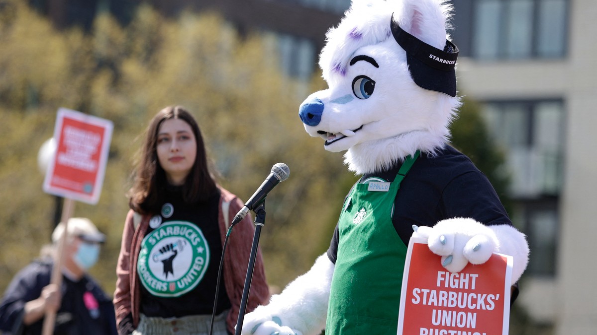 Fired by Starbucks, Union Organizer Now Wears His Fursuit to Rallies