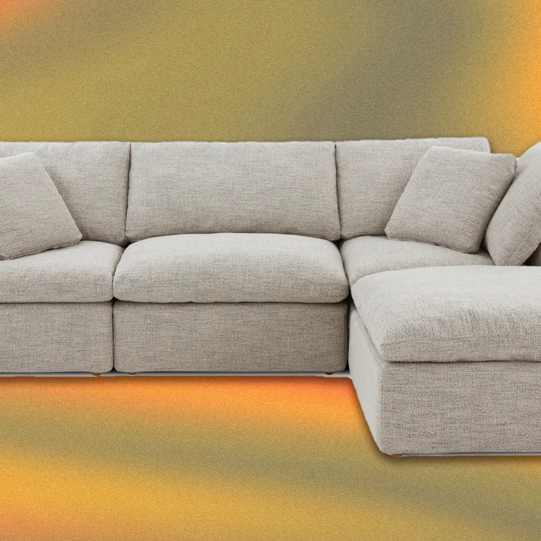 The 19 Best Cat Scratch Proof Couches