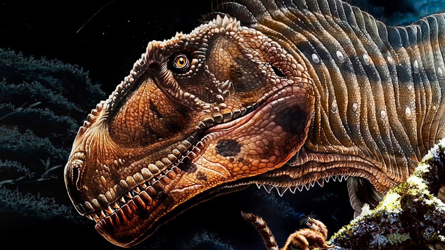 Tyrannosaurus rex was a sensitive lover, new dinosaur discovery