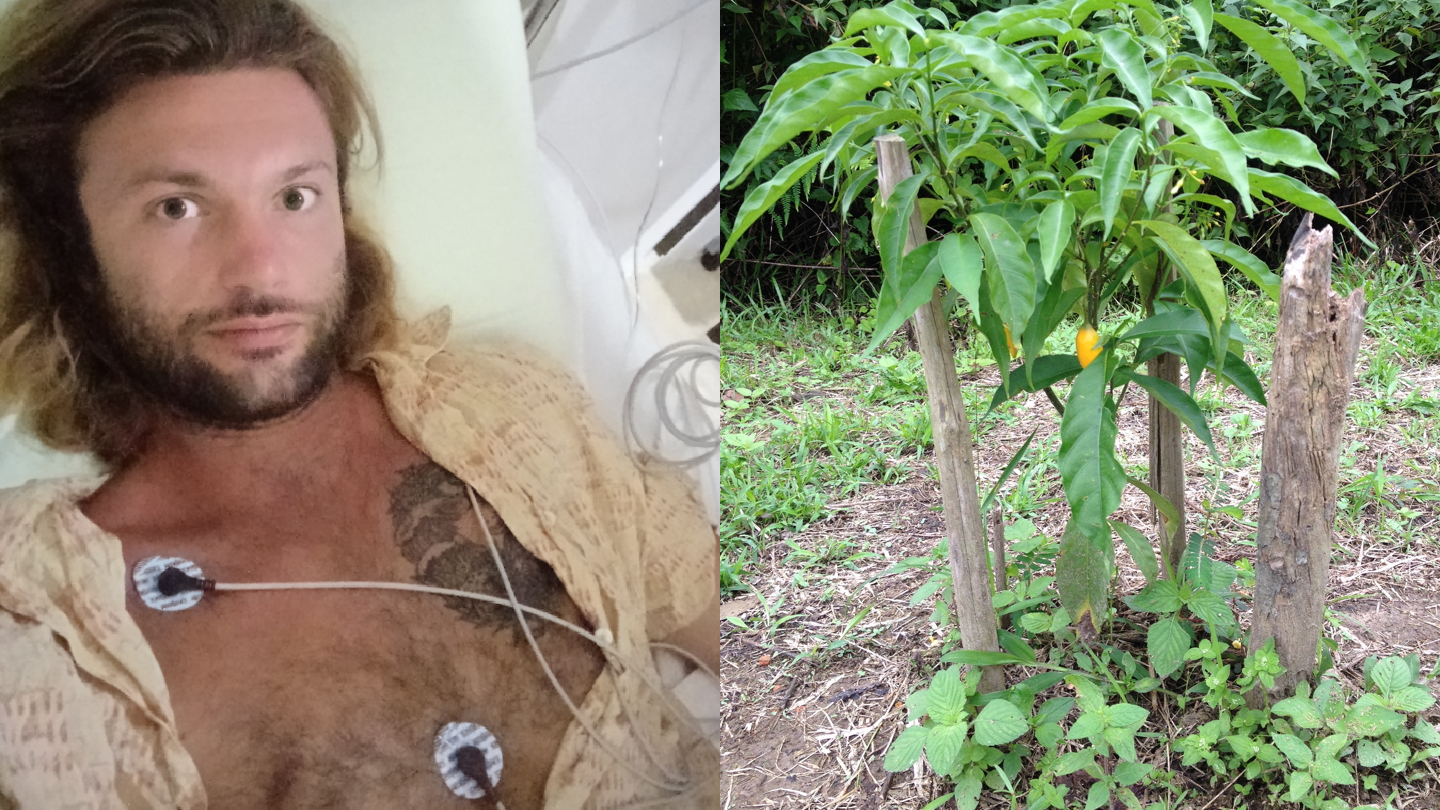 I Tried the Psychedelic Anti-Addiction Drug I Tried the Psychedelic Anti-Addiction Drug