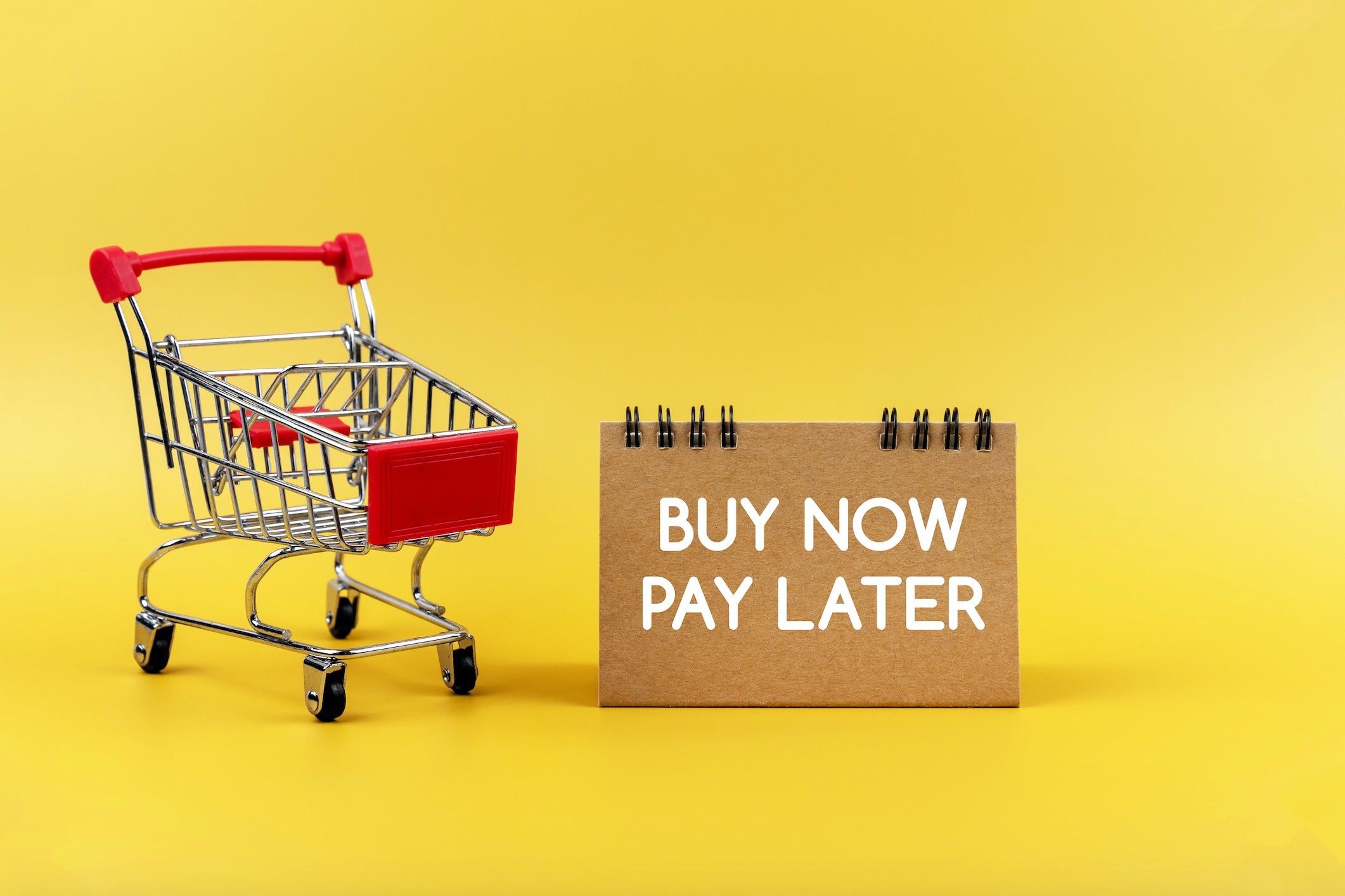 Buy Now, Pay Later' Used for Things Shoppers Can't Afford