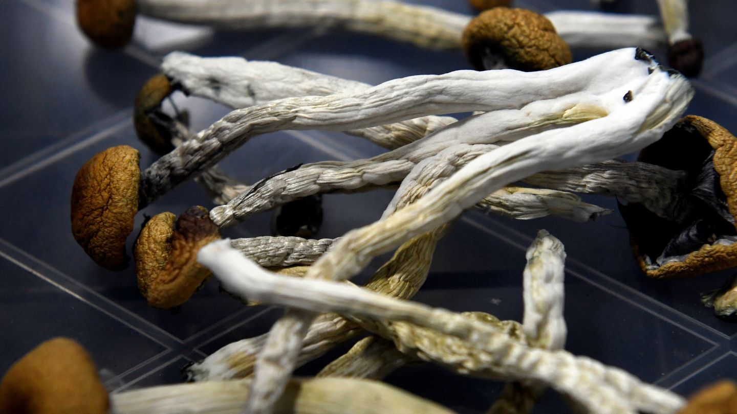 Taking Psychedelics Helps People Face Mortality Like a Near-Death  Experience, Study Finds