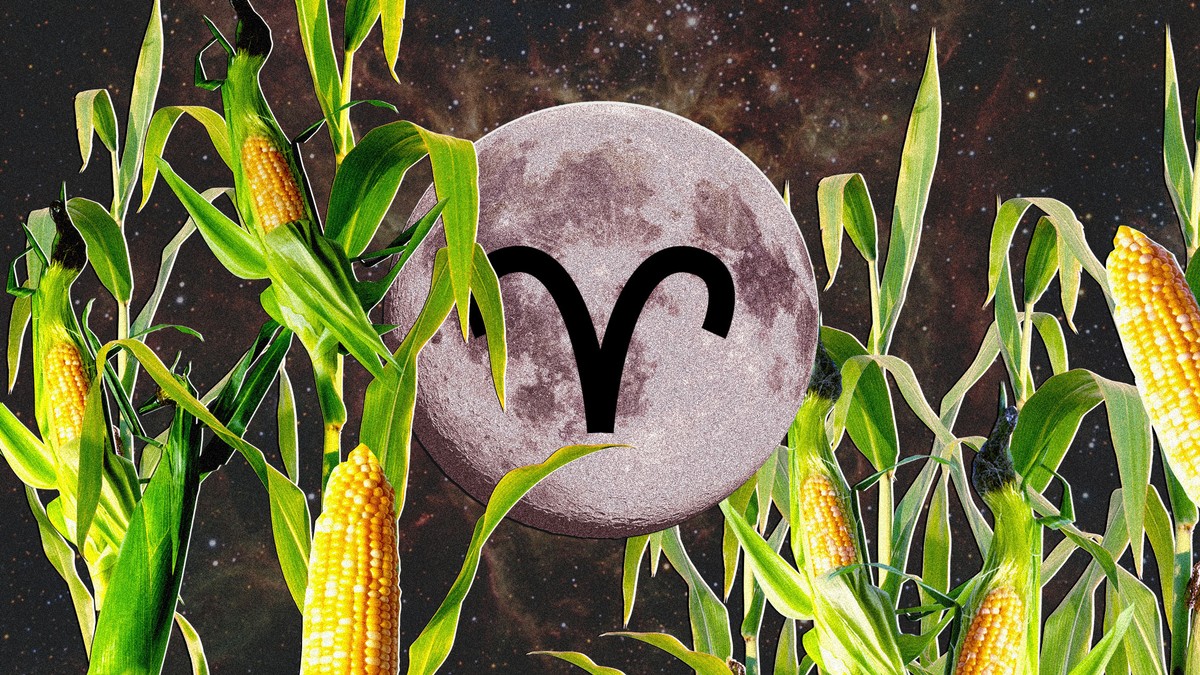 The Harvest Moon September’s Full Moon in Aries VICE