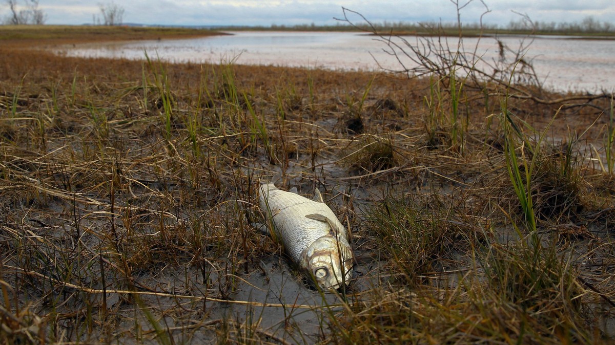 Scientists Discover Arctic Waters Are Rapidly Becoming Acidic in Dire Climate Warning