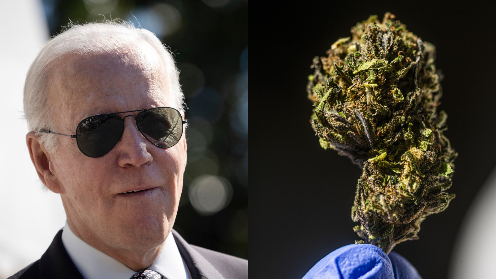 Joe Biden Just Called For Pardoning All Simple Weed Possession Convictions