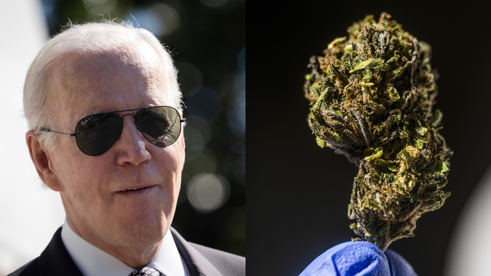 Biden's Drug Offense Pardons, an NFL Player's Cannabis-Inspired NFT, & NJ's  First Day of Rec.