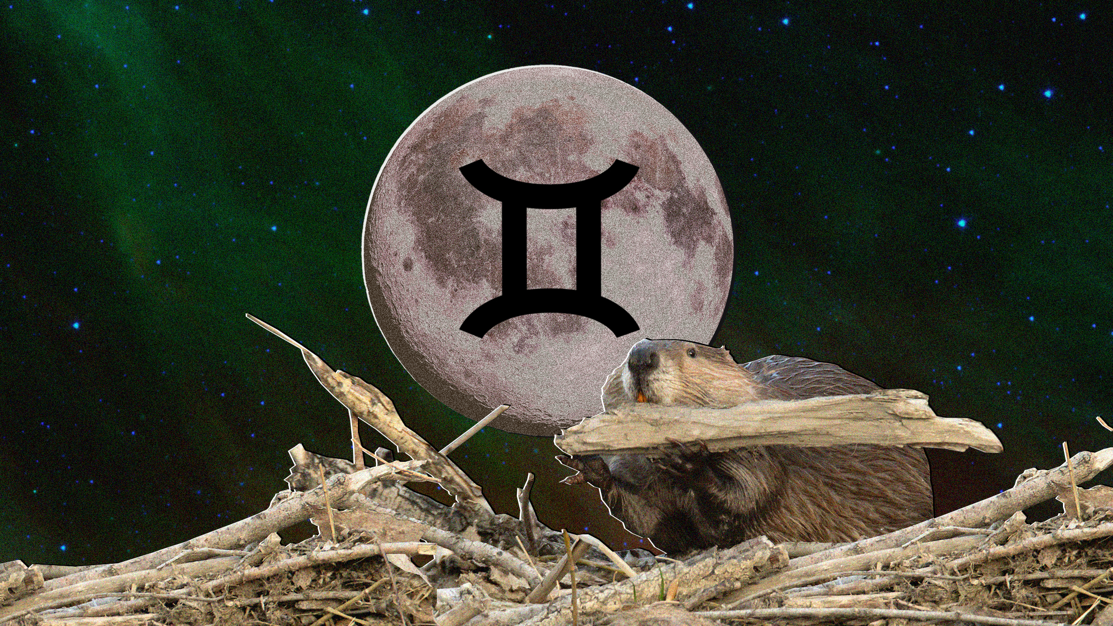 the-full-beaver-moon-november-s-full-moon-in-gemini