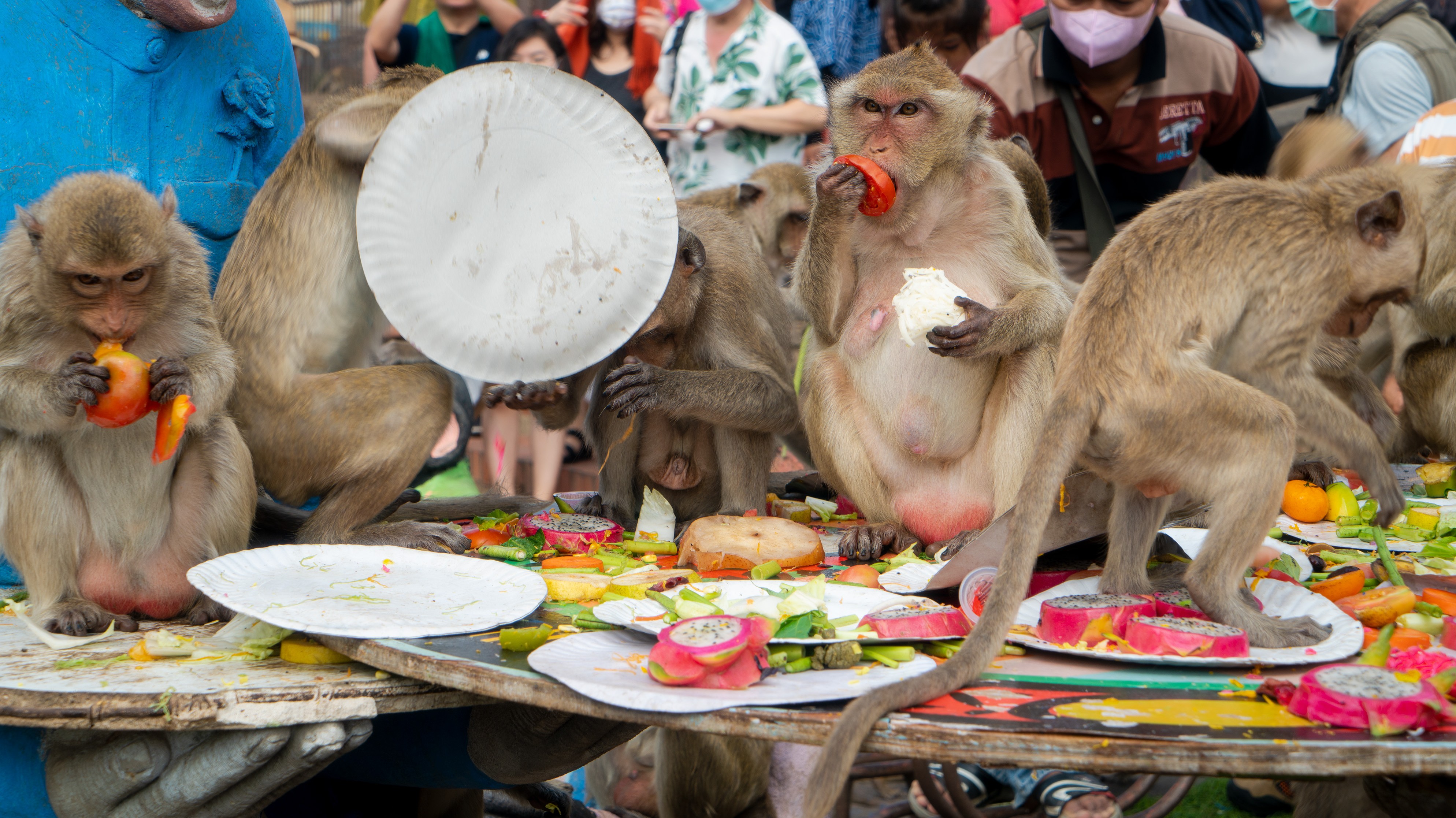 Inside the Chaos of Thailand's Annual Buffet for Monkeys