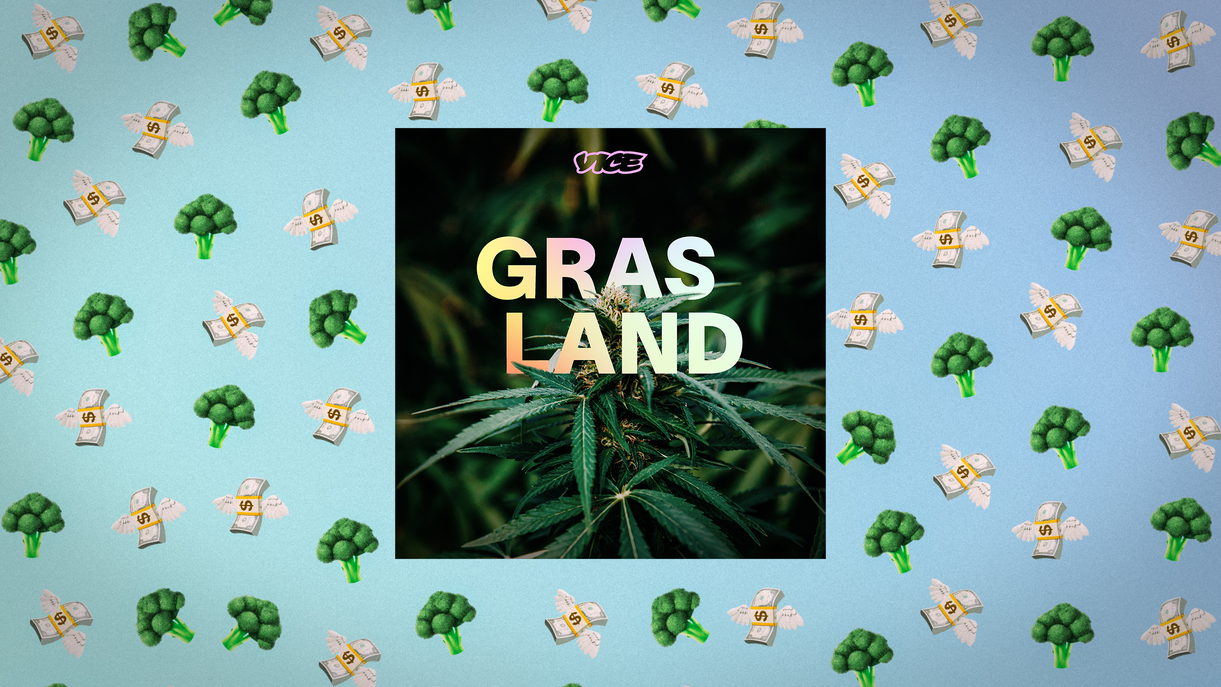 JuicyFields: Die Geschichte hinter dem Milliarden-Cannabis-Scam