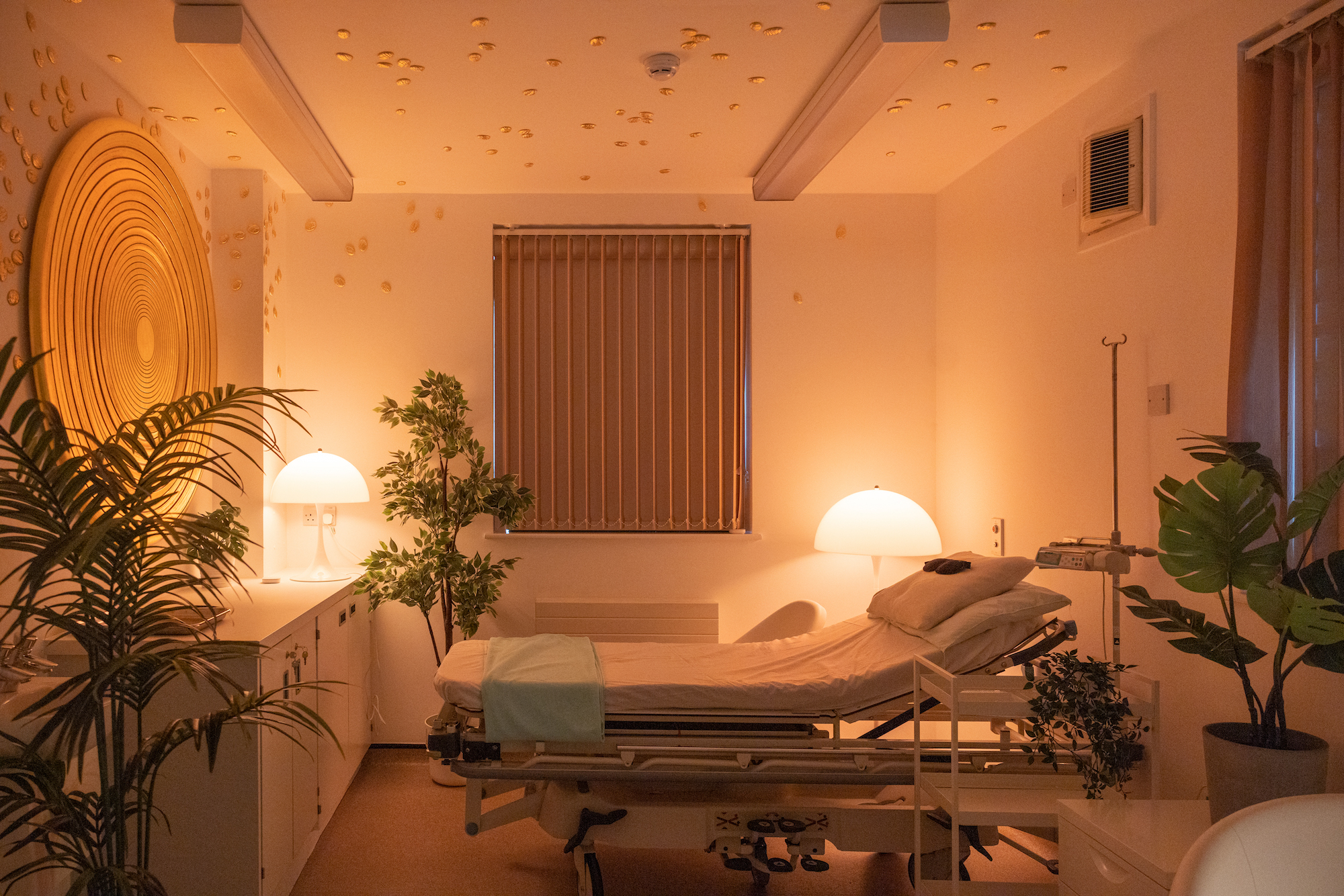 Psilocybin Therapy Clinic