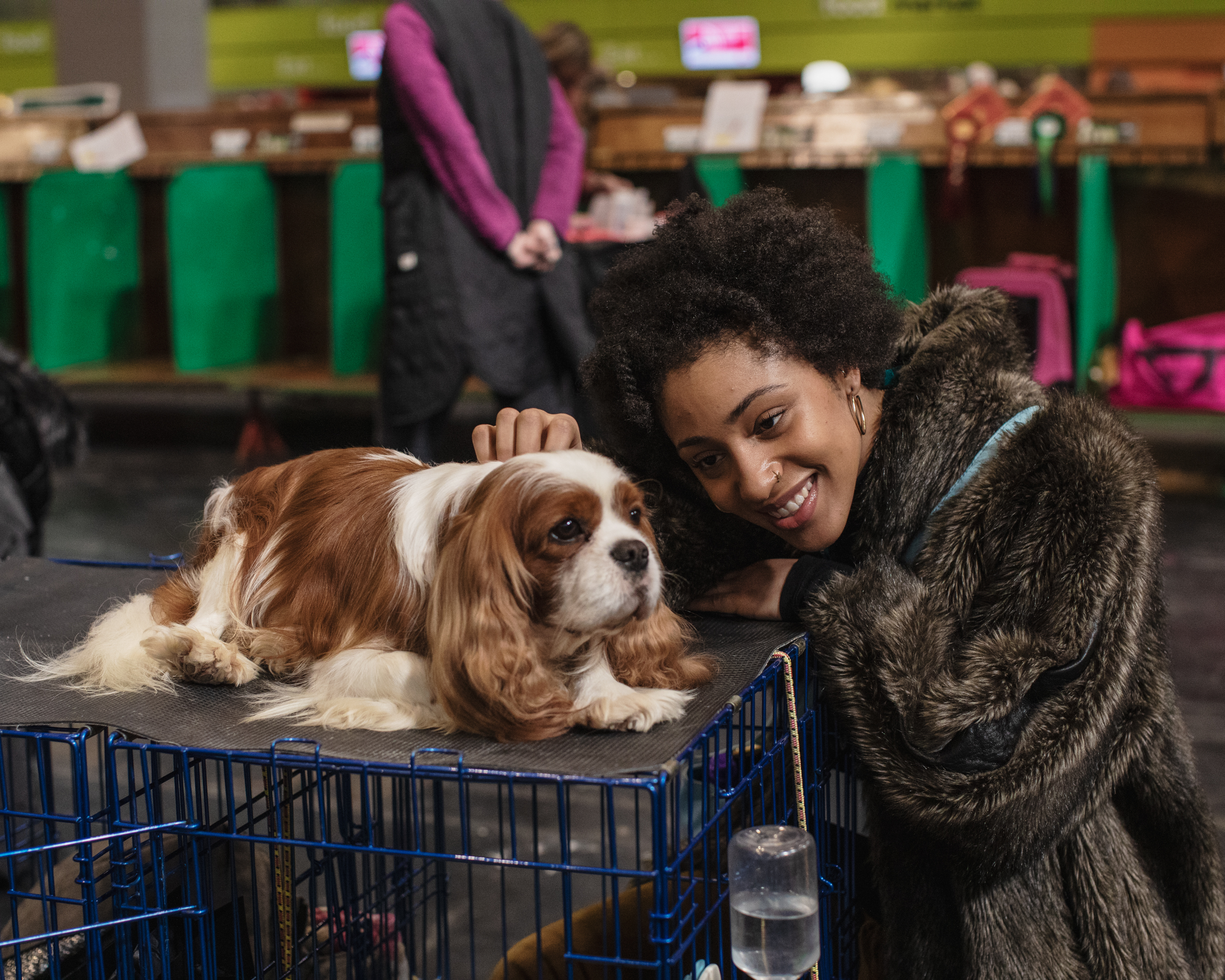 What Happens When You Send a Cat Person to a Dog Show?