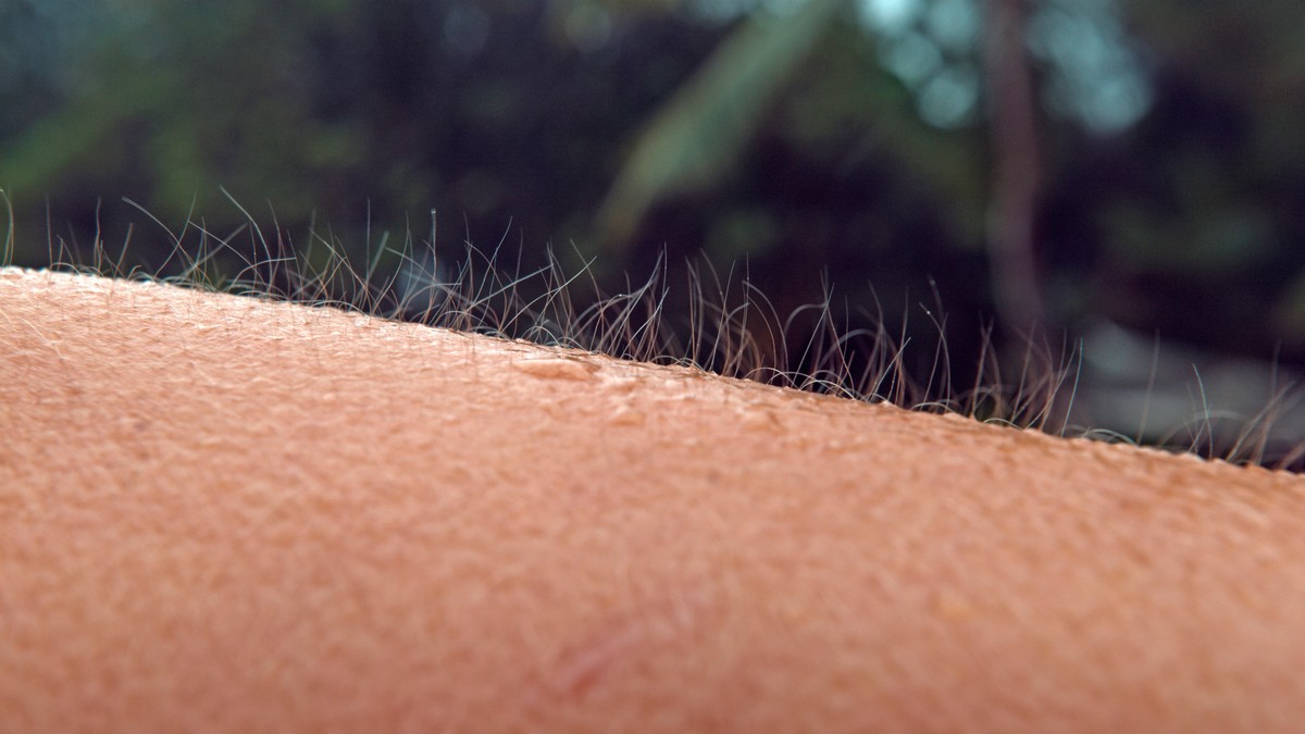 These videos and songs will give you goosebumps