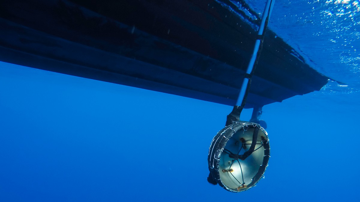 Record ocean. Underwater Microphones.