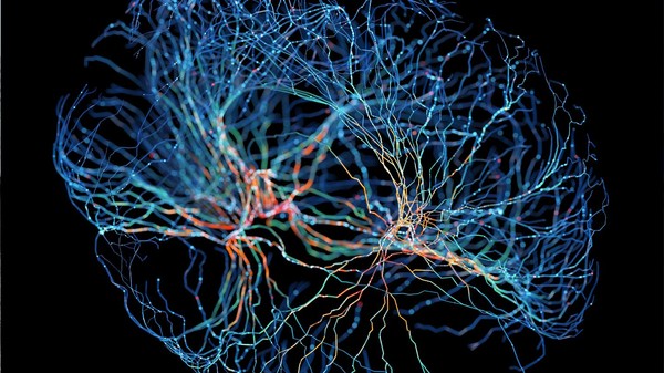 1682966595079-your-paragraph-text-2023-0