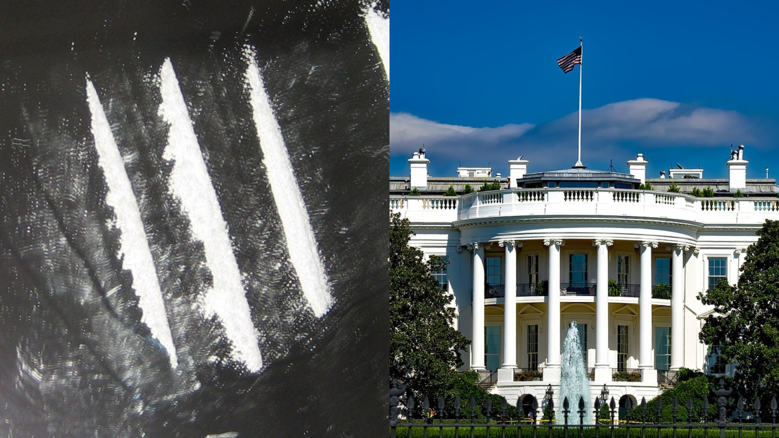 white house cocaine