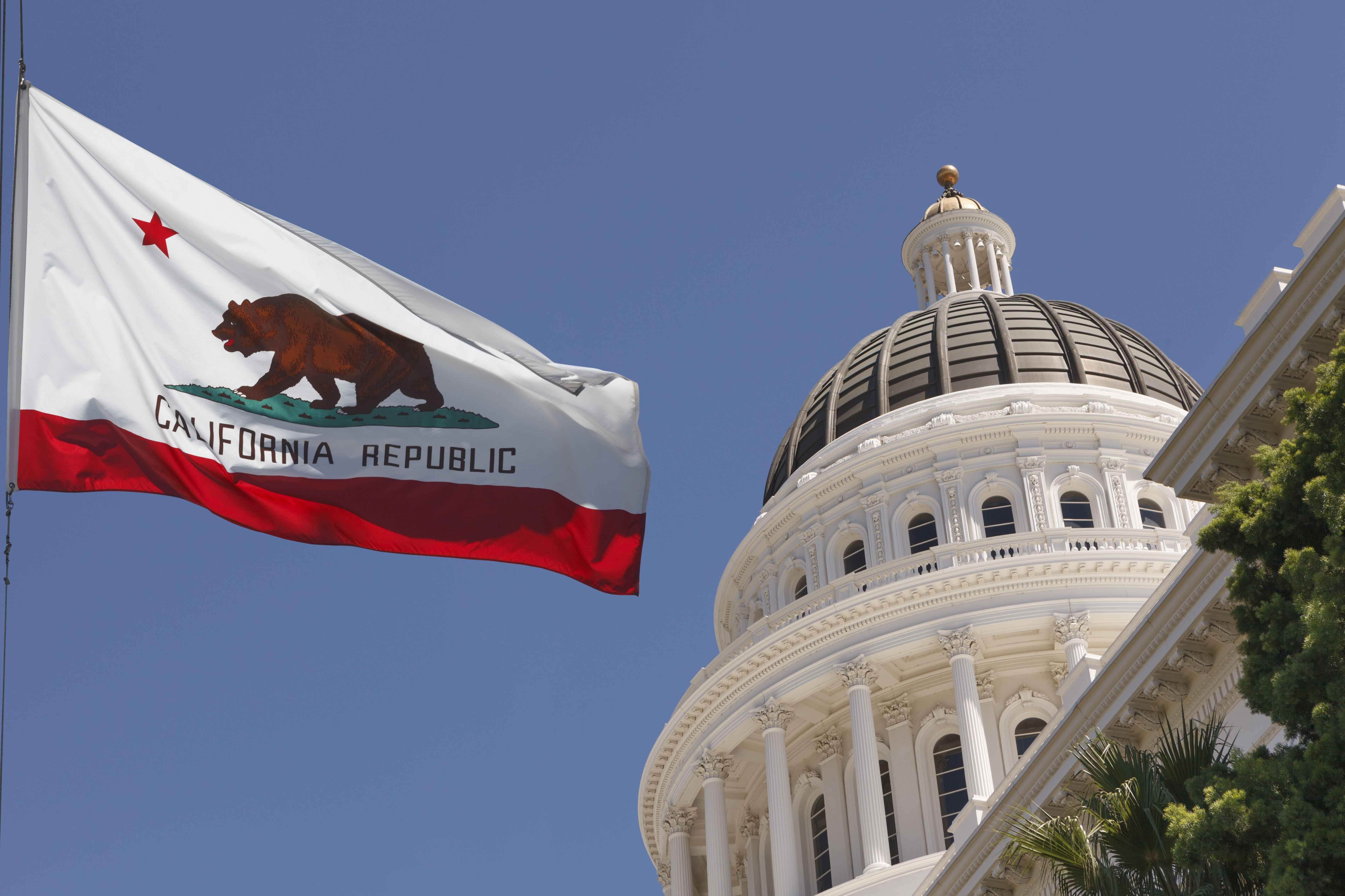 Child Labor Is Such a Big Problem That California Will Teach Kids Their Rights at School Child Labor Is Such a Big Problem That California Will Teach Kids Their Rights at School