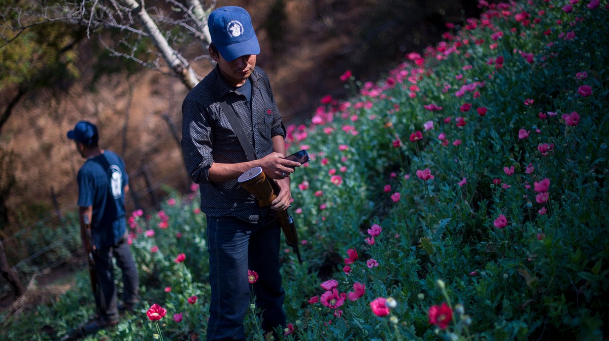 Hitmen Just Murdered 13 Police Officers in Mexico’s Heroin Heartlands