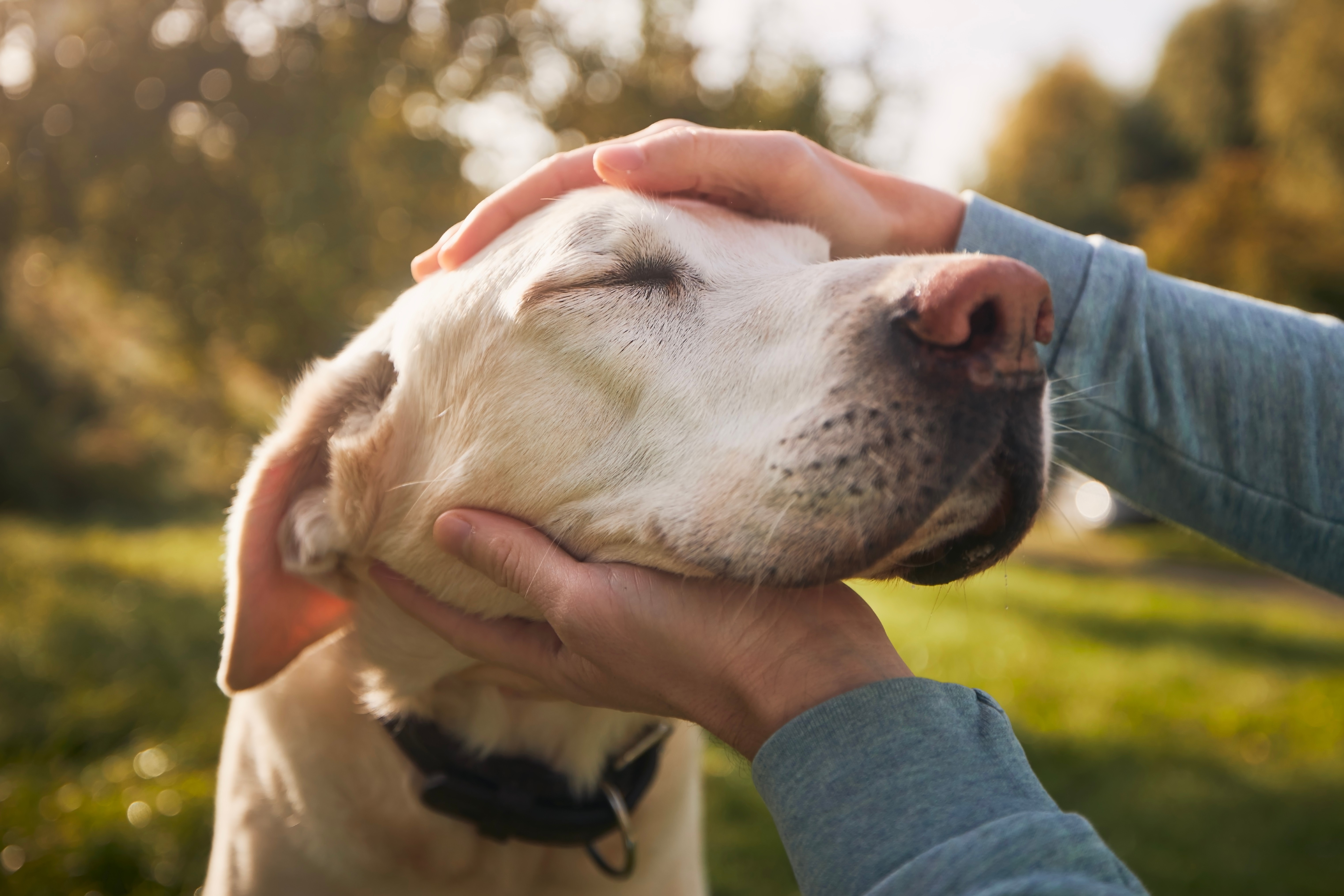 Eau de source naturelle - Labrador