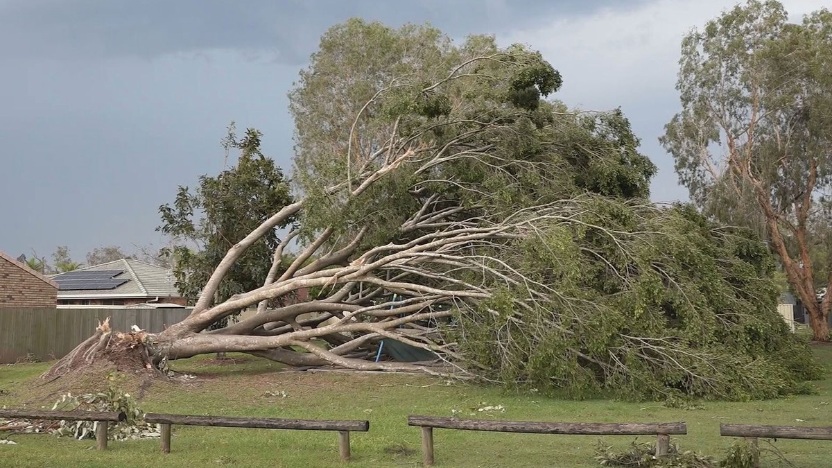 Eight Dead in Australian Christmas and Boxing Day Storms