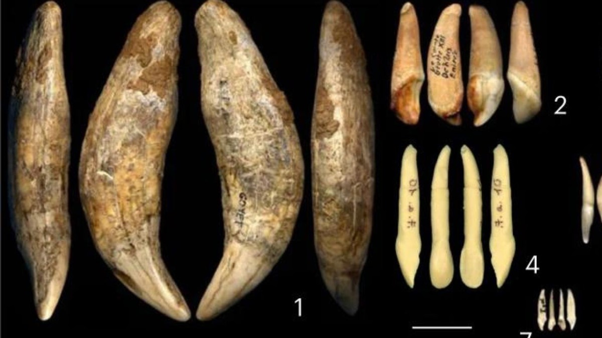 Scientists Discover Stunning Evidence of Multiple Lost Prehistoric ...