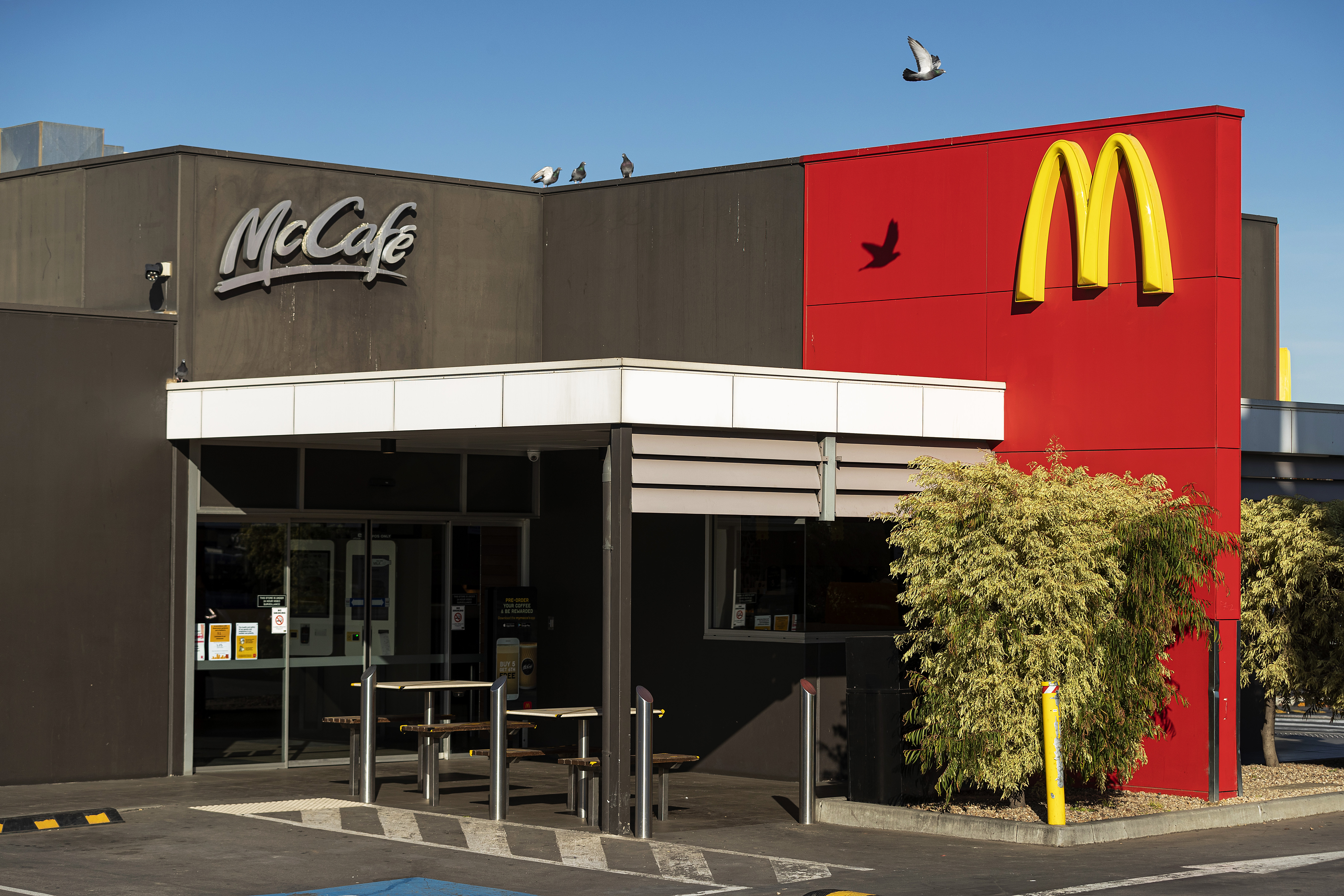 McDonald's Blames Slow Sales On Israel 'Misinformation' Amid Boycott