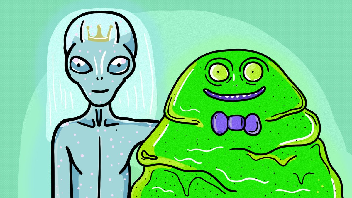 Asking People Who ‘Punch above Their Weight’ How They Did It VICE