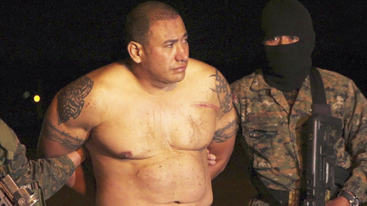 Real Mexican Cartel Porn - Mexican Oil and Drug Cartels: Cocaine and Crude (Part 1)