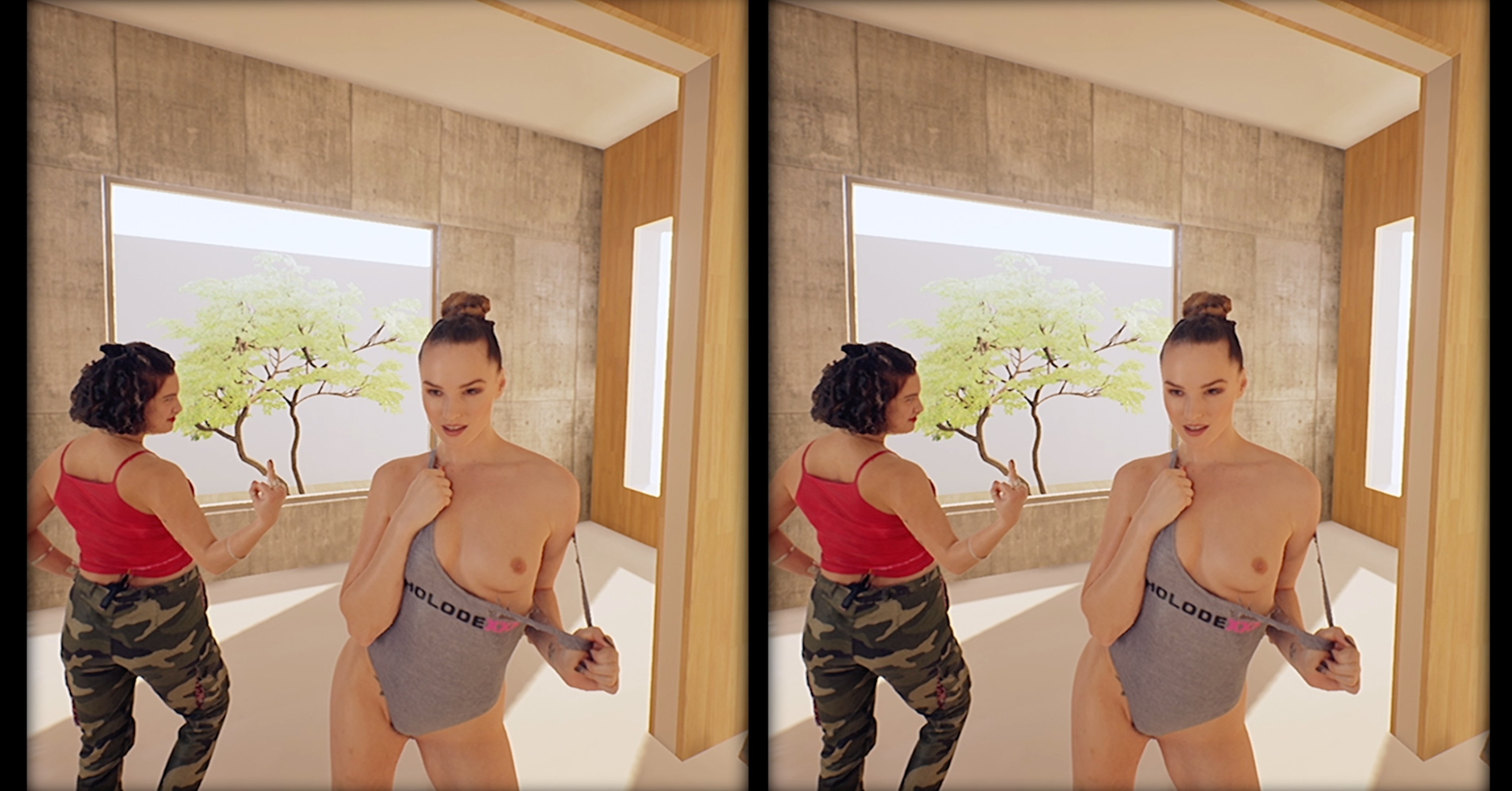 Lesbian Virtual Reality 360